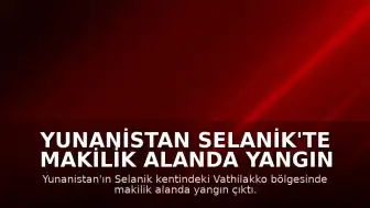Yunanistan Selanik'te Makilik Alanda Yangın Çıktı