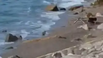 Zonguldak Filyos Sahili'nde Askeri İHA Bulundu: Geniş Güvenlik Önlemi Alındı