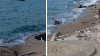Zonguldak Filyos Sahili'nde Askeri Olduğu Düşünülen İHA Bulundu