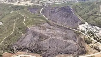 Balıkesir'de Orman Yangınına Neden Olan 2 Kişi Tutuklandı