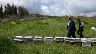 Türkiye'den Suriye'ye dönen aile, Kuneytra'da İsrail ihlallerinin gölgesinde arıcılıkla yeni bir hayat kurdu