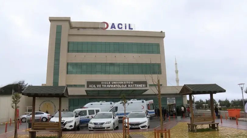 Diyarbakır'da Elektrik Direğine Yıldırım Düşmesi Sonucu Bir Kadın Yaralandı