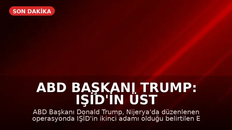 ABD Başkanı Trump: IŞİD'in üst düzey ismi Ebu Bilal Al-Minuki Nijerya'da öldürüldü