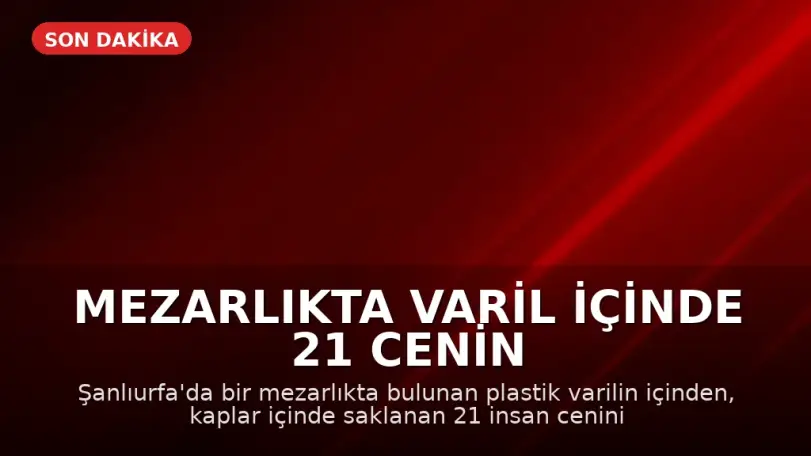 Mezarlıkta Varil İçinde 21 Cenin Bulundu
