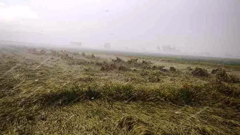 Osmaniye'de Sağanak Nedeniyle Evinde Mahsur Kalan Yaşlı Kadın Kurtarıldı