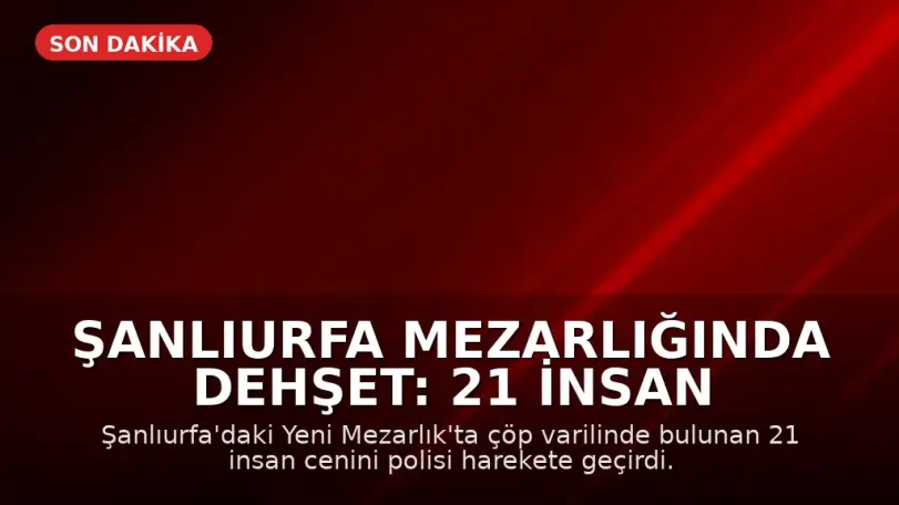 Şanlıurfa Mezarlığında Dehşet: 21 İnsan Cenini Bulundu