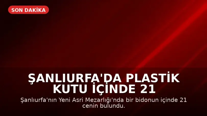 Şanlıurfa'da Plastik Kutu İçinde 21 Cenin Bulundu
