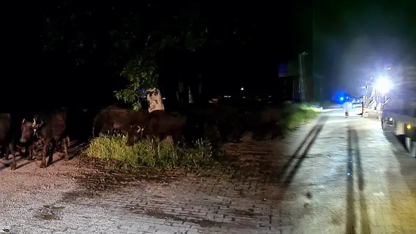 Tokat'ta Sel Riski Nedeniyle Bir Köy Tahliye Ediliyor