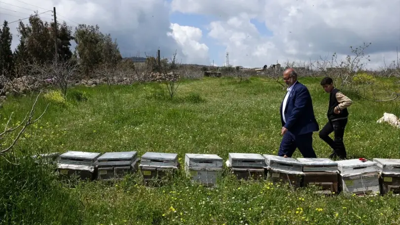 Türkiye'den Suriye'ye dönen aile, Kuneytra'da İsrail ihlallerinin gölgesinde arıcılıkla yeni bir hayat kurdu
