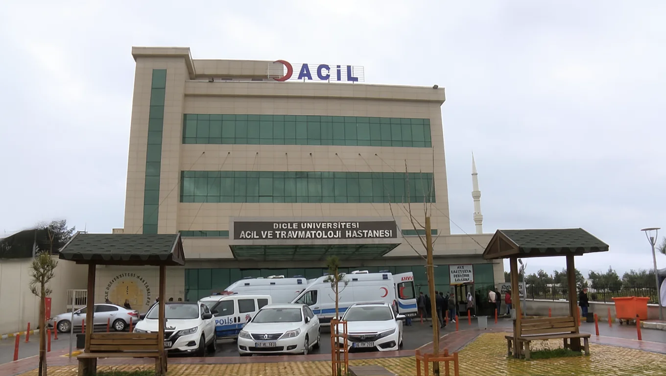 Diyarbakır'da Elektrik Direğine Yıldırım Düşmesi Sonucu Bir Kadın Yaralandı