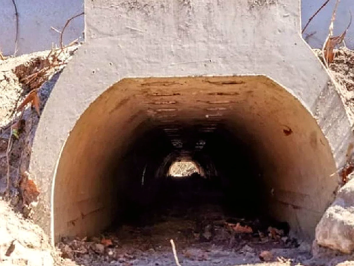 Kurbağaların Ölüm Oranını Sıfıra İndirmek İçin 1,8 Milyon Liraya Alt Geçit İnşa Edildi